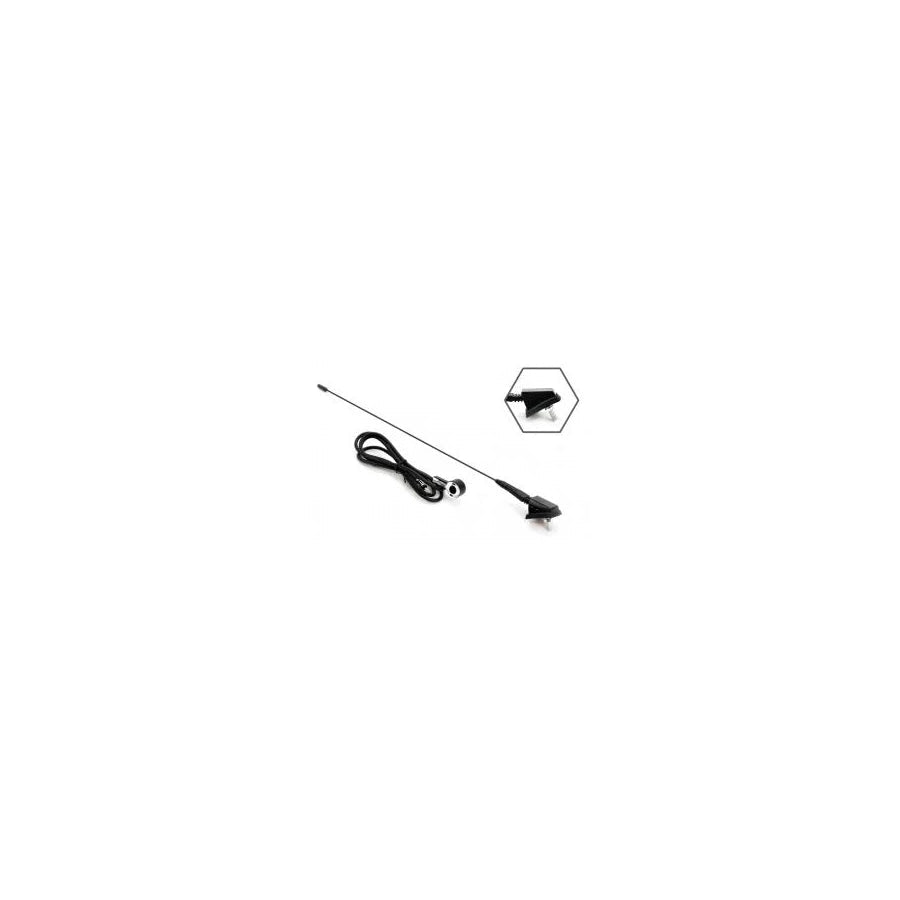 Amio Ant 01 01048 Aerial