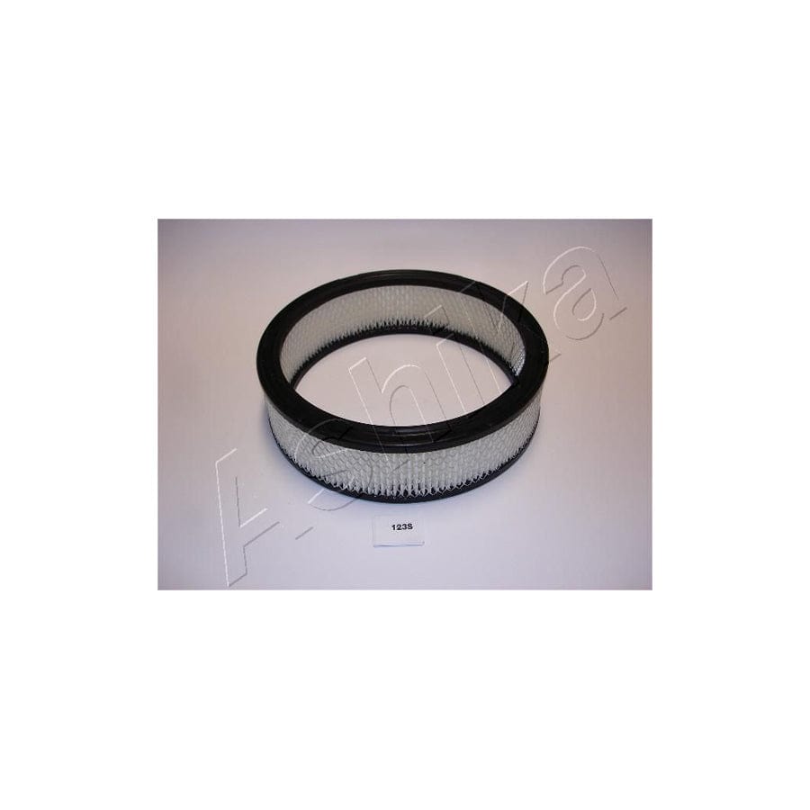 Ashika 20-01-123 Air Filter