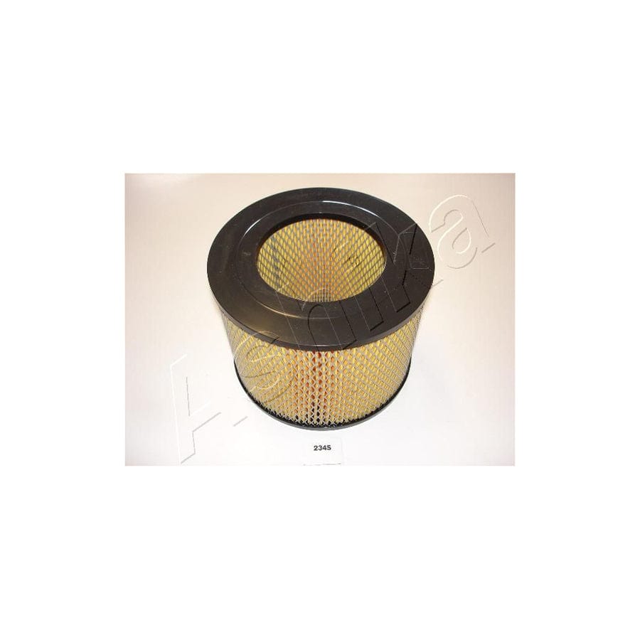 Ashika 20-02-234 Air Filter