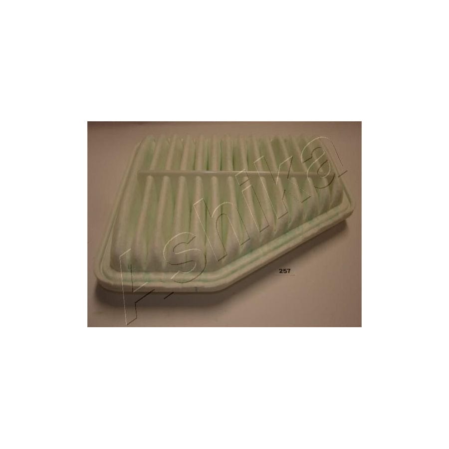 Ashika 20-02-257 Air Filter