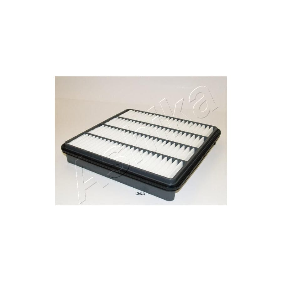 Ashika 20-02-263 Air Filter