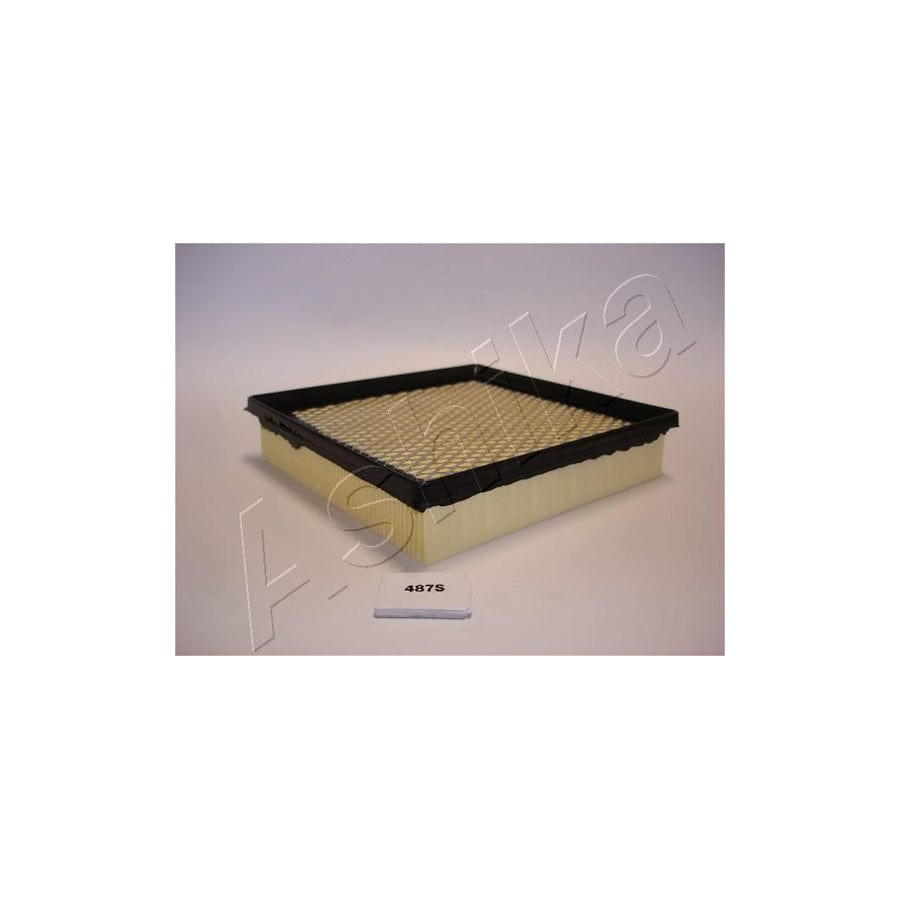 Ashika 20-04-487 Air Filter