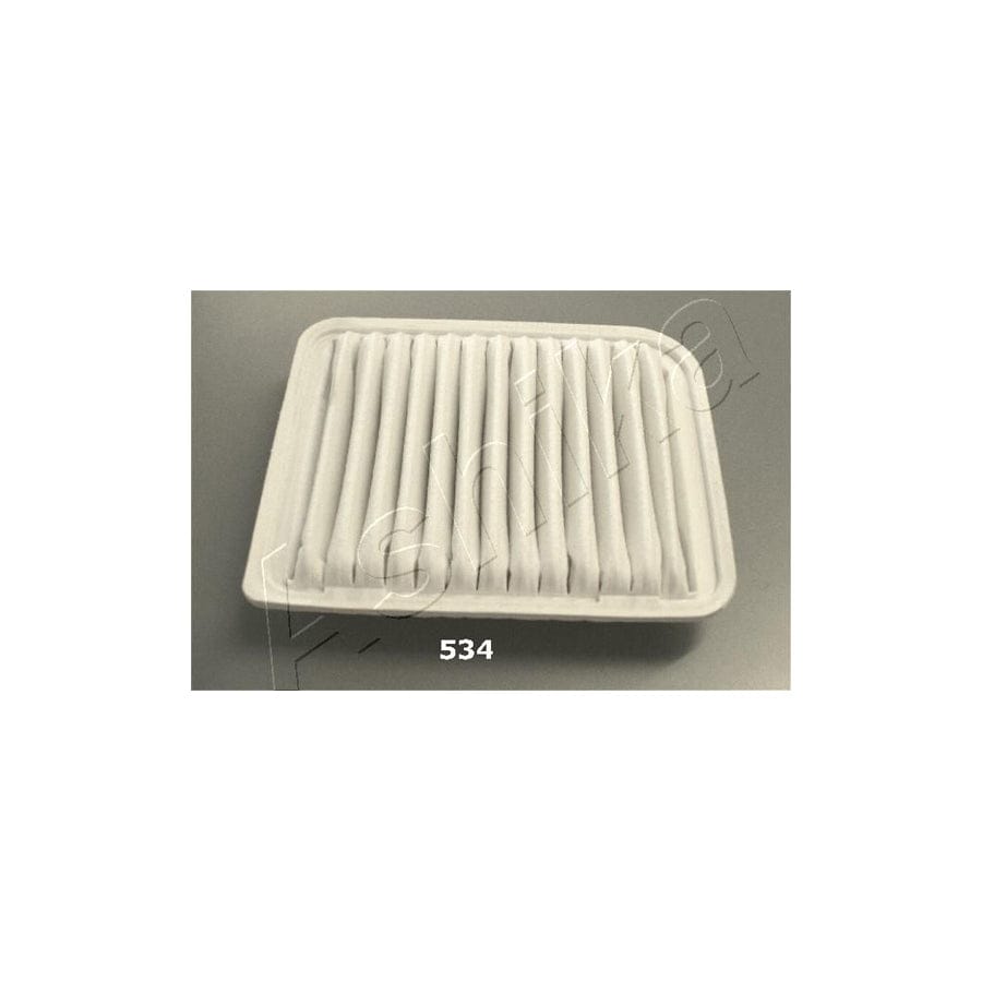 Ashika 20-05-534 Air Filter