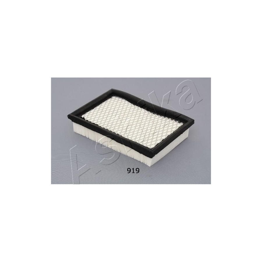 Ashika 20-09-919 Air Filter