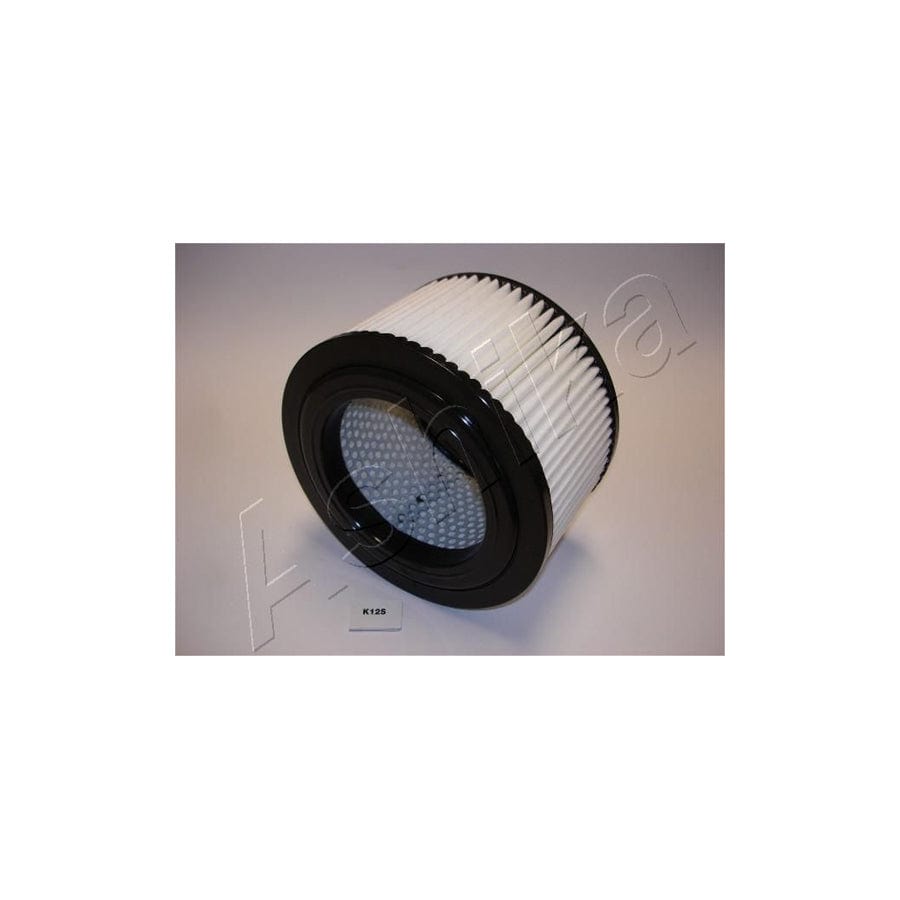 Ashika 20-0K-012 Air Filter