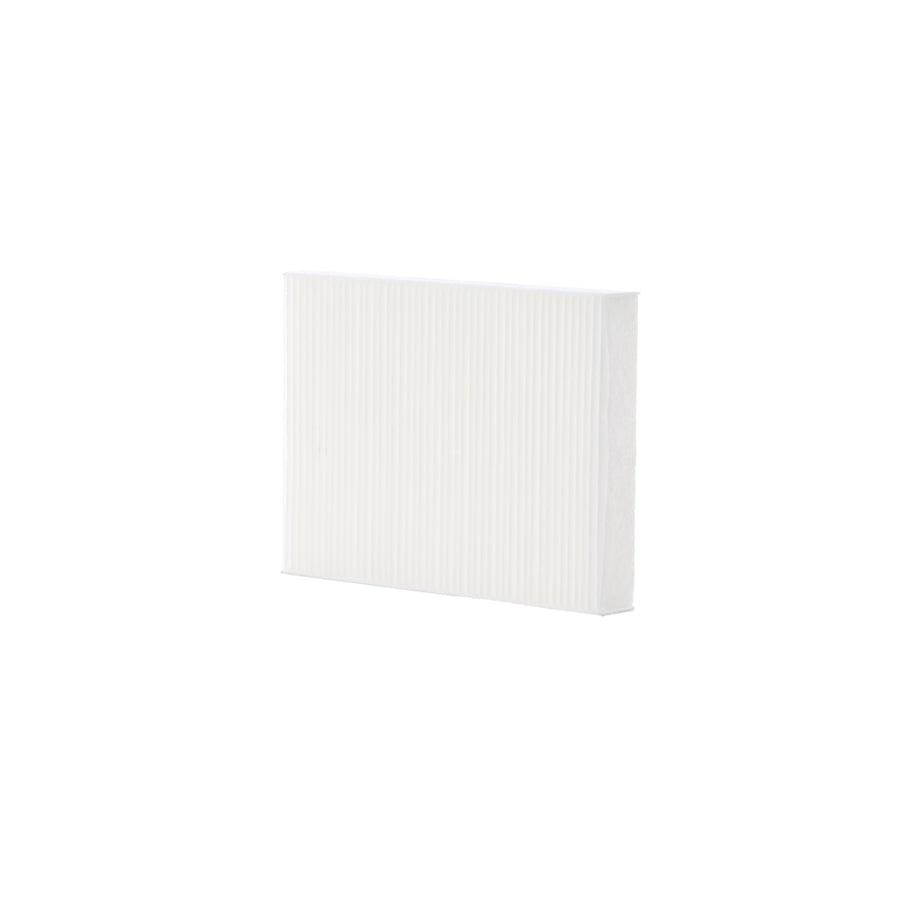 ASHIKA 21-NS-NS24 Pollen Filter