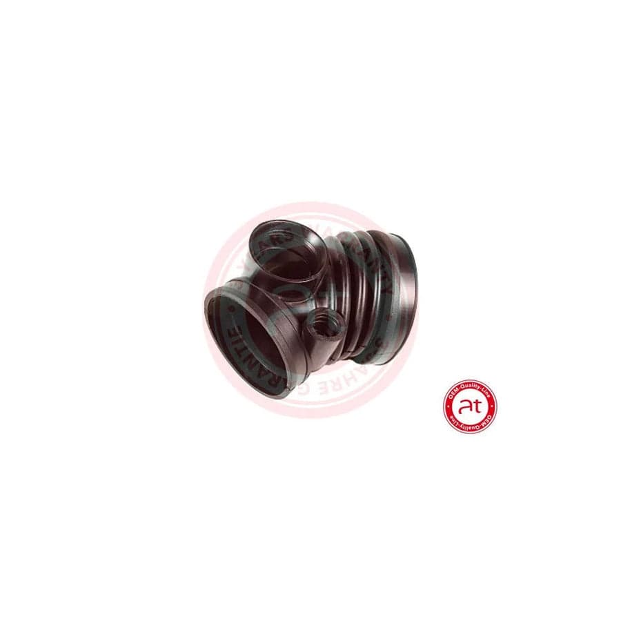 at autoteile germany At20340 Intake Pipe, Air Filter
