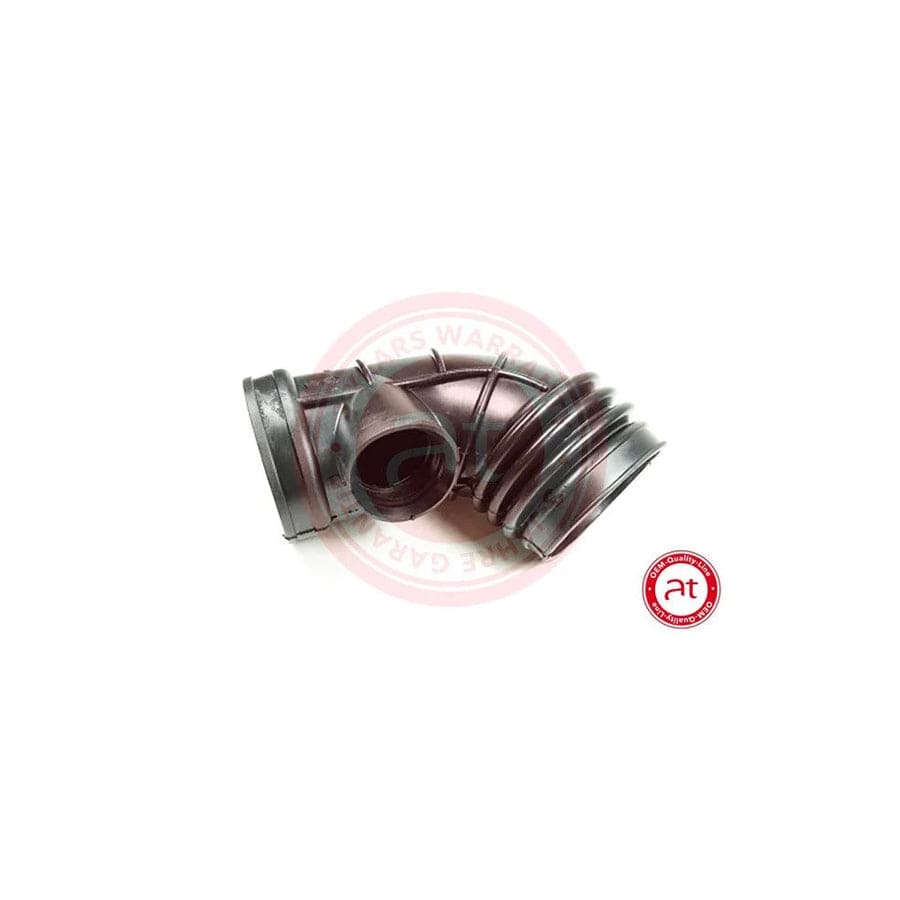 at autoteile germany At20355 Intake Pipe, Air Filter