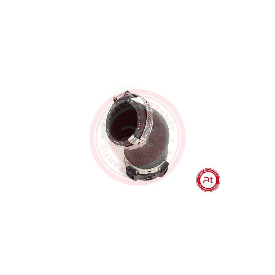 at autoteile germany At20498 Charger Intake Hose