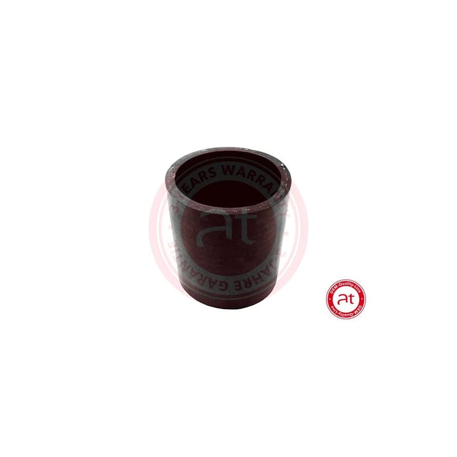 at autoteile germany At20597 Charger Intake Hose