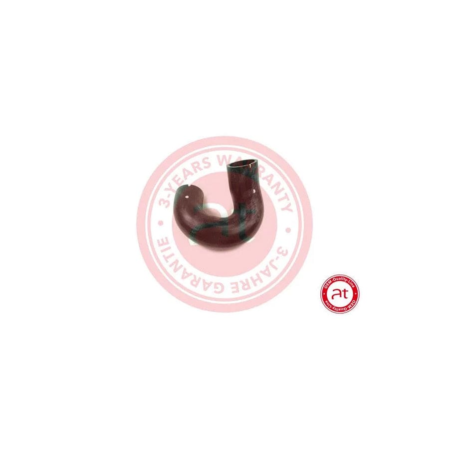 at autoteile germany At20901 Charger Intake Hose for Fiat Doblo