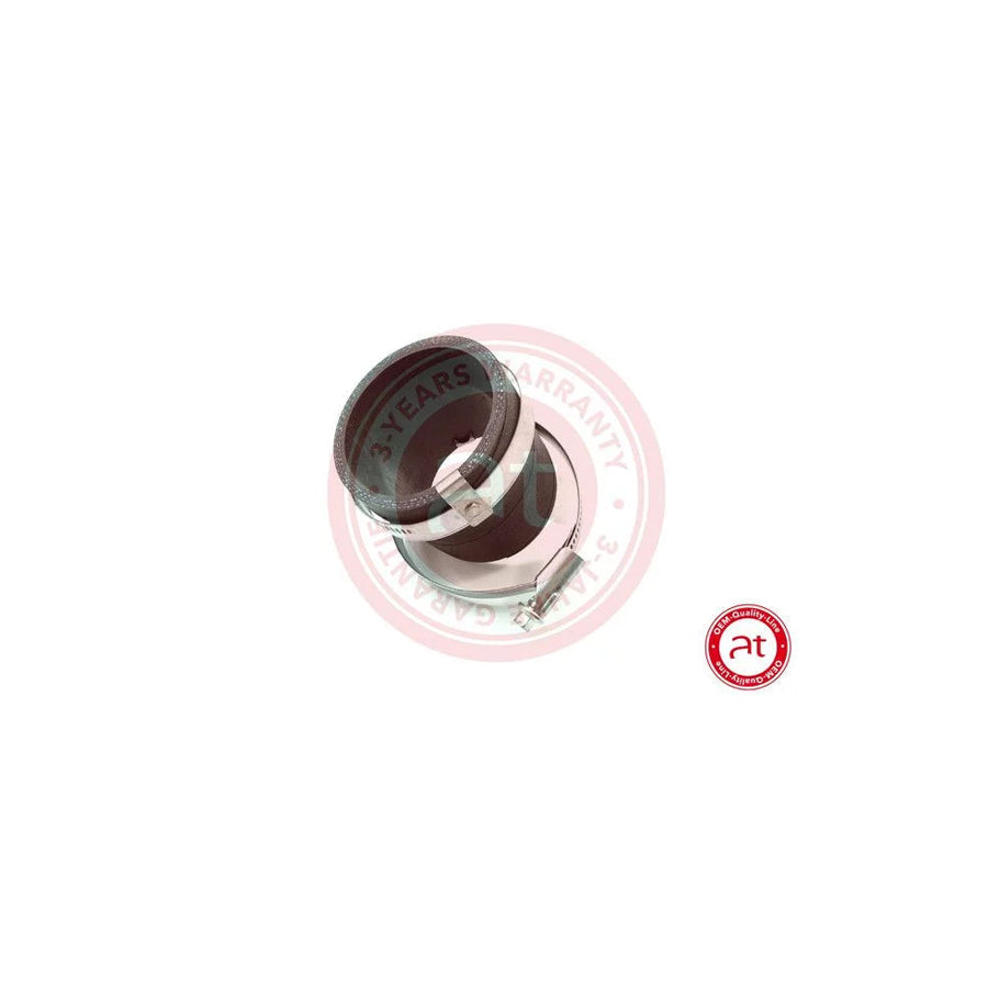 at autoteile germany At21783 Charger Intake Hose for Ford Focus Mk3 Hatchback (Dyb)