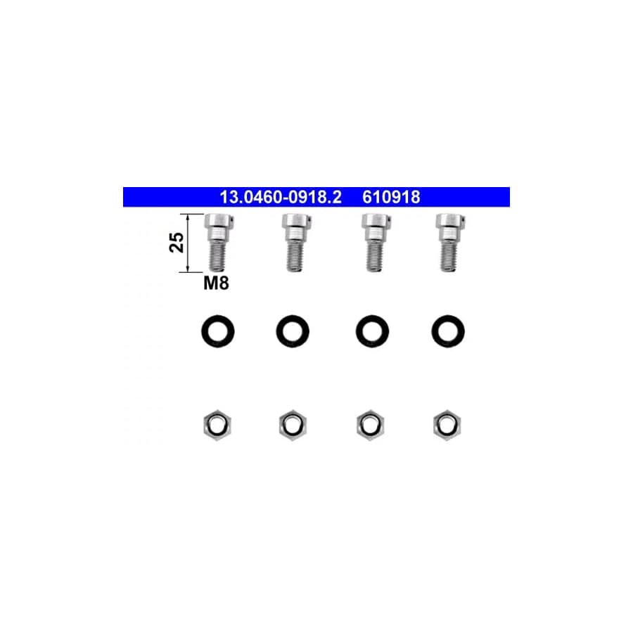 ATE 13.0460-0918.2 Accessory Kit, Disc Brake PaDS Suitable for Mercedes-Benz 100