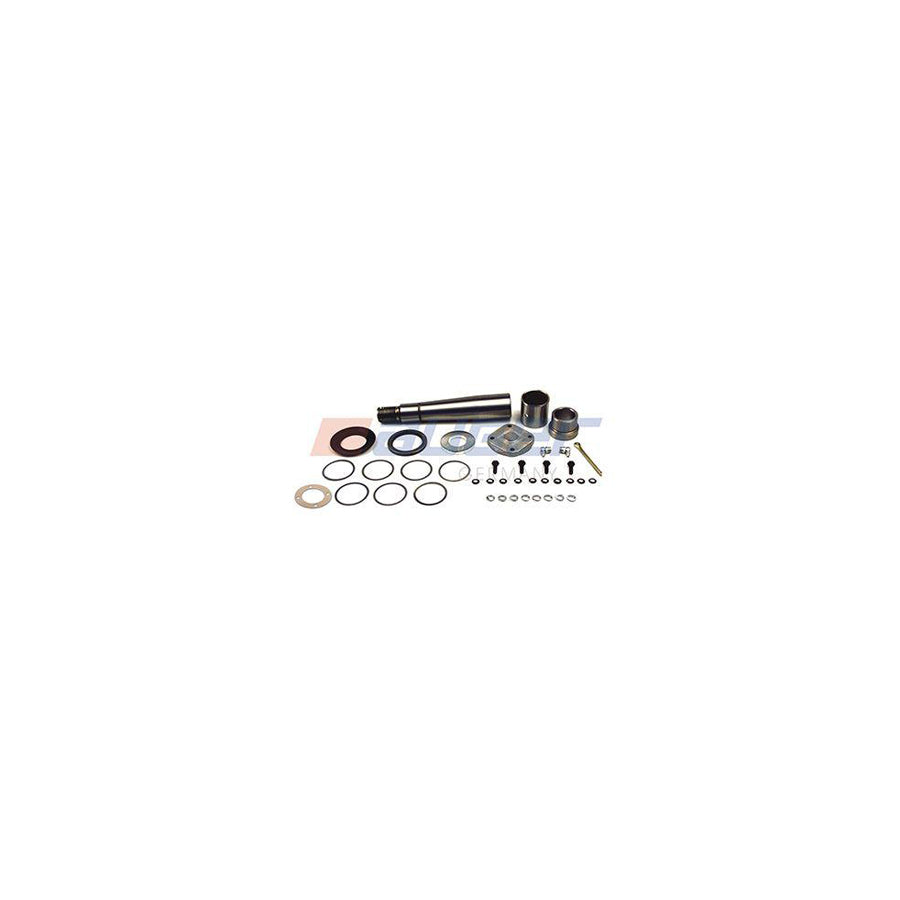 Auger 52566 Repair Kit, Kingpin