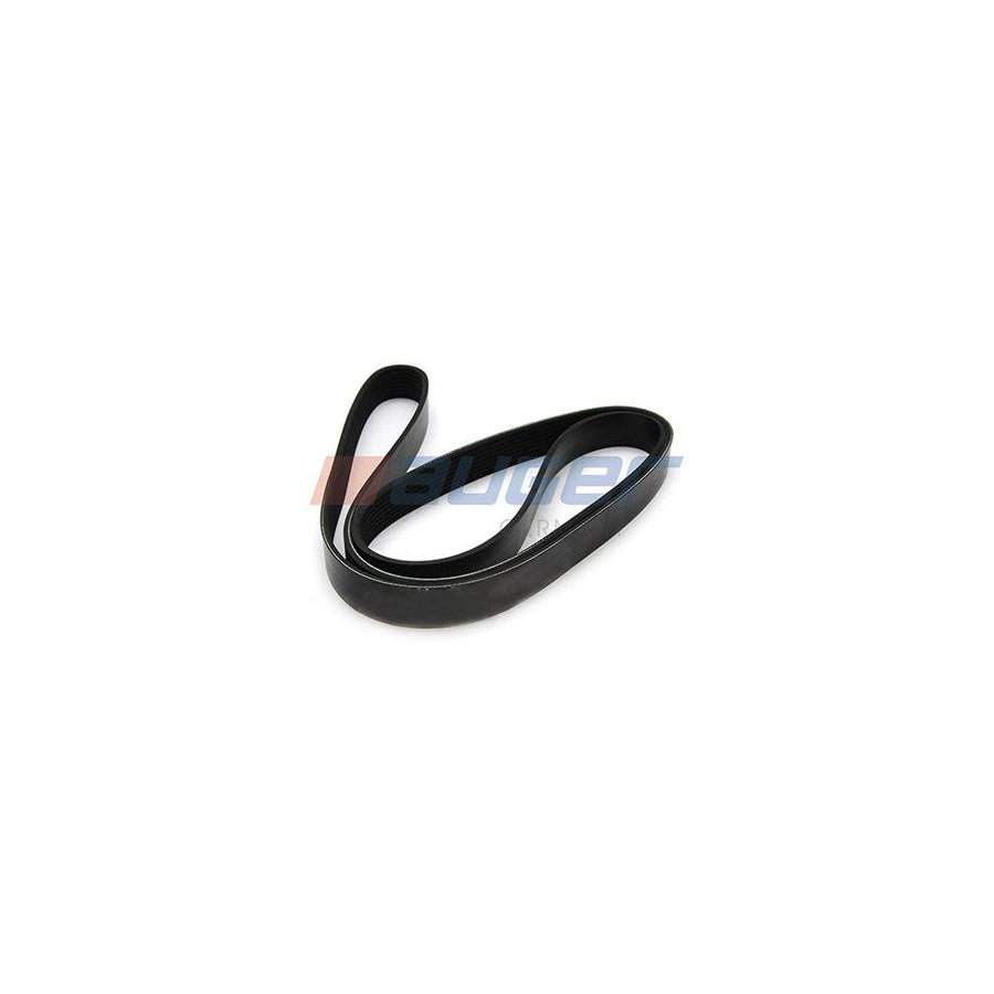 Auger 79931 V-Ribbed Belt