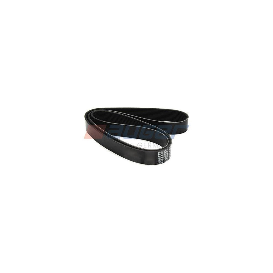 Auger 79991 V-Ribbed Belt