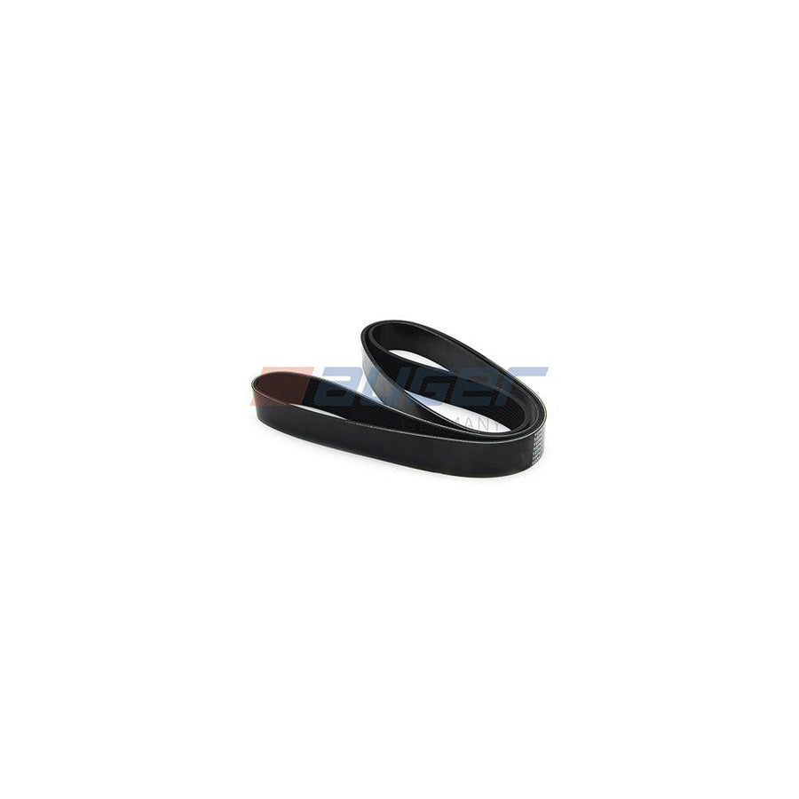 Auger 79995 V-Ribbed Belt