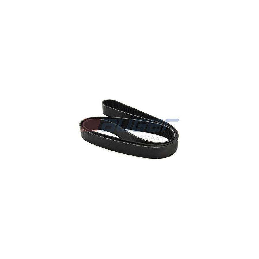 Auger 79997 V-Ribbed Belt