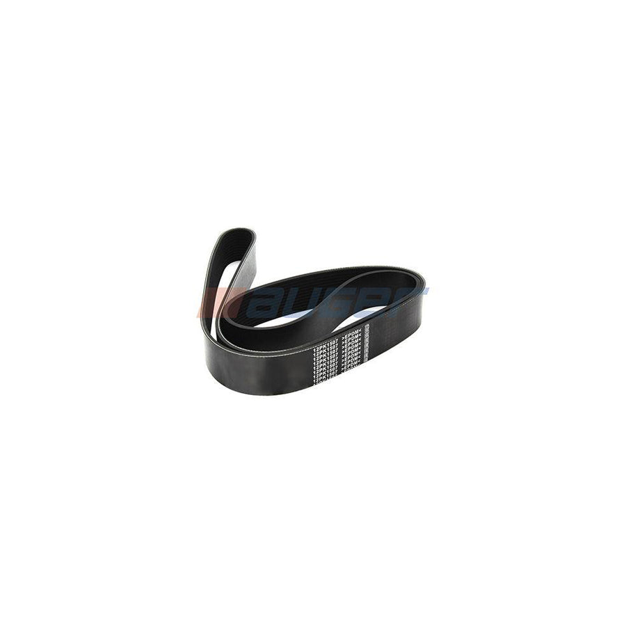 Auger 80008 V-Ribbed Belt