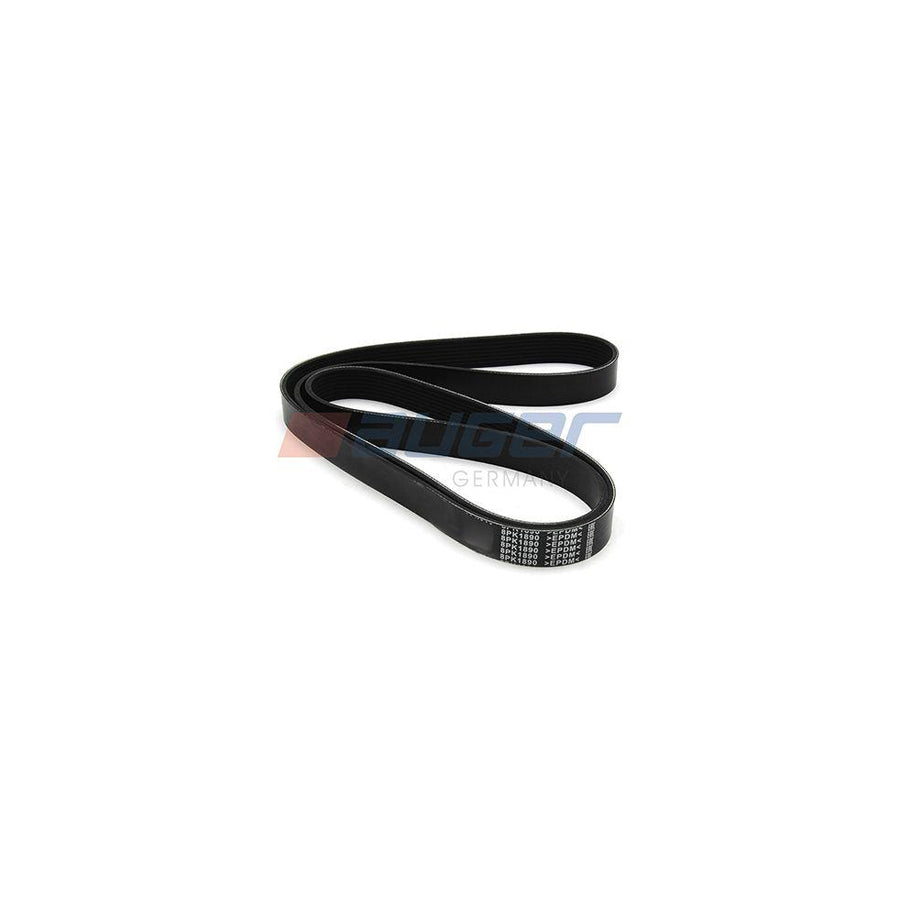 Auger 80075 V-Ribbed Belt