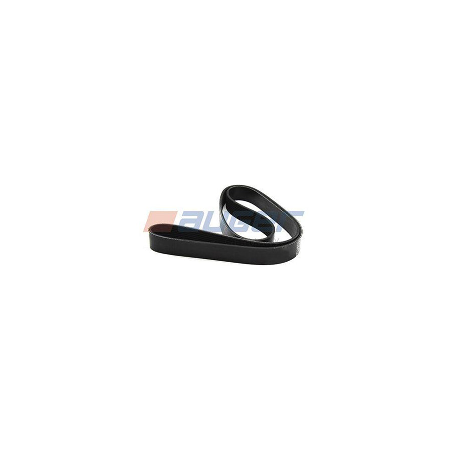 Auger 80154 V-Ribbed Belt