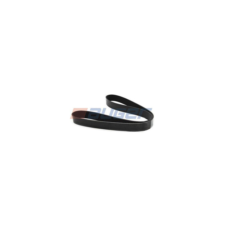 Auger 87696 V-Ribbed Belt