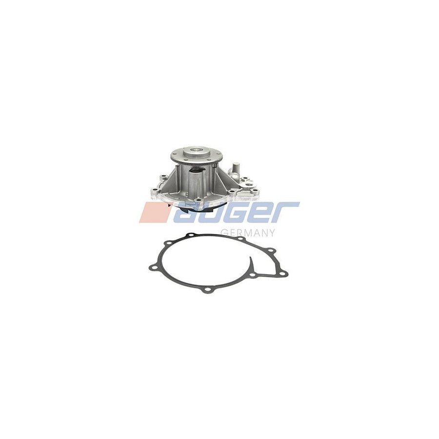 Auger 95924 Water Pump