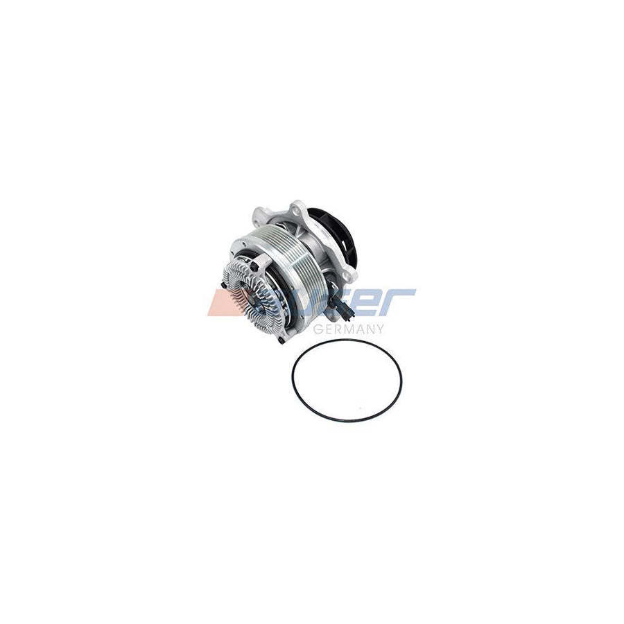 Auger 96155 Water Pump