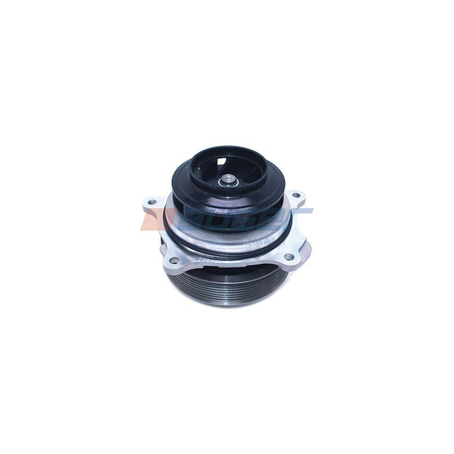 Auger 97043 Water Pump