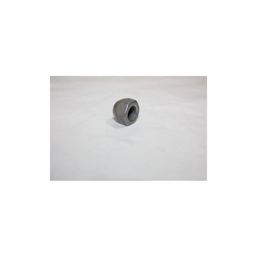 AUTOMEGA 110001810 Wheel Nut for FORD C-Max II (DXA/CB7, DXA/CEU)