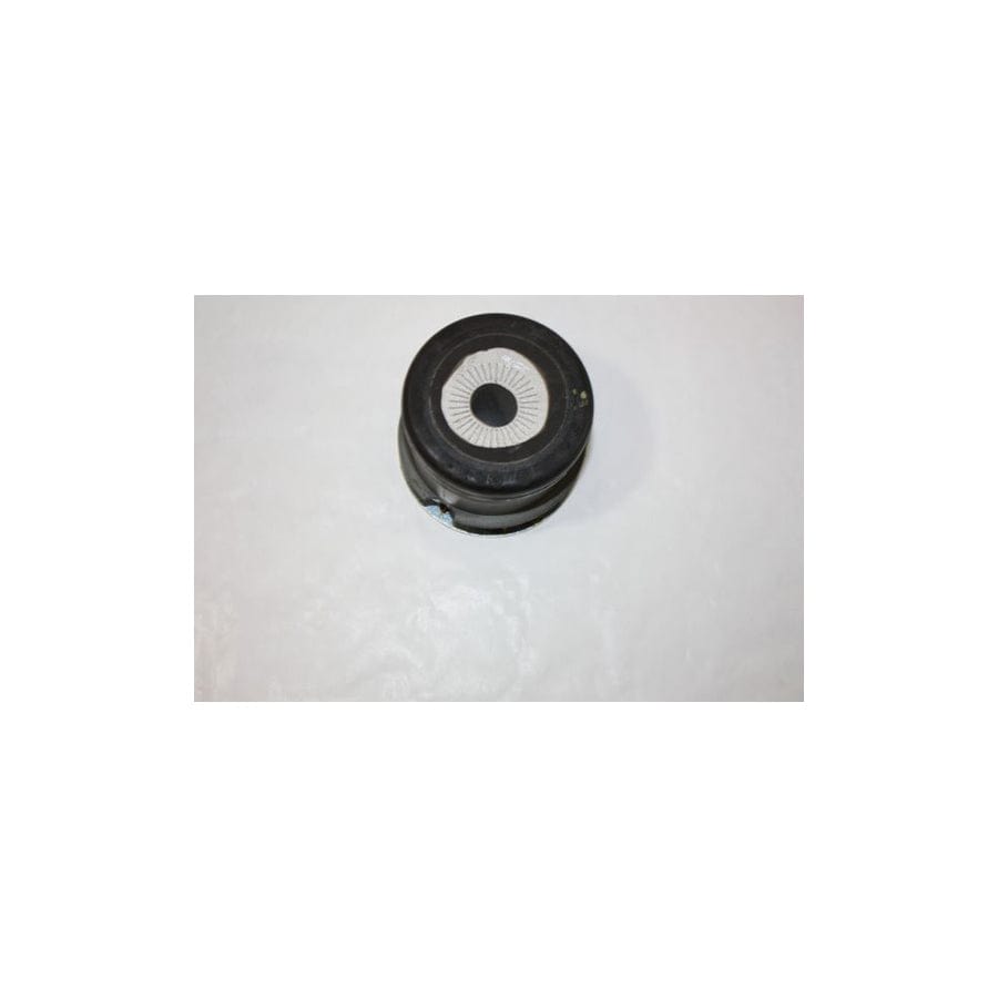 Automega 110087510 Axle Bush