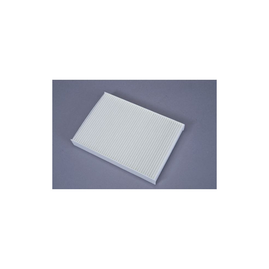 AUTOMEGA 180000210 Pollen Filter