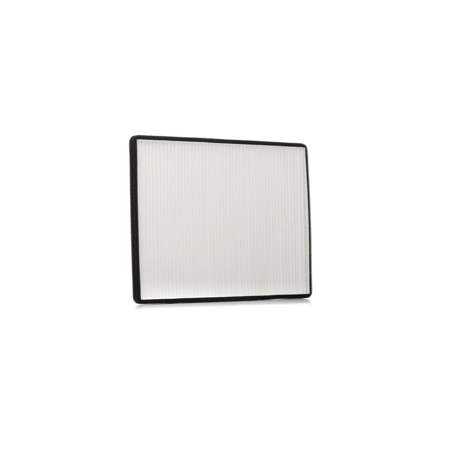 AUTOMEGA 180000610 Pollen Filter For Renault Megane