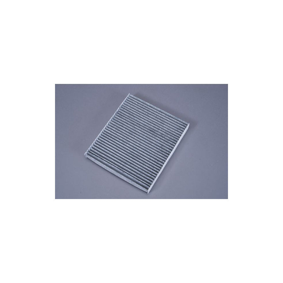 AUTOMEGA 180006610 Pollen Filter