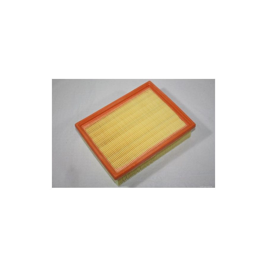 Automega 180022410 Air Filter