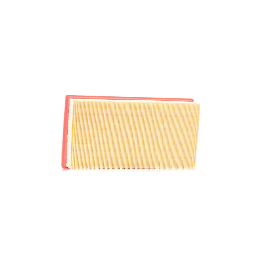 Automega 180024210 Air Filter