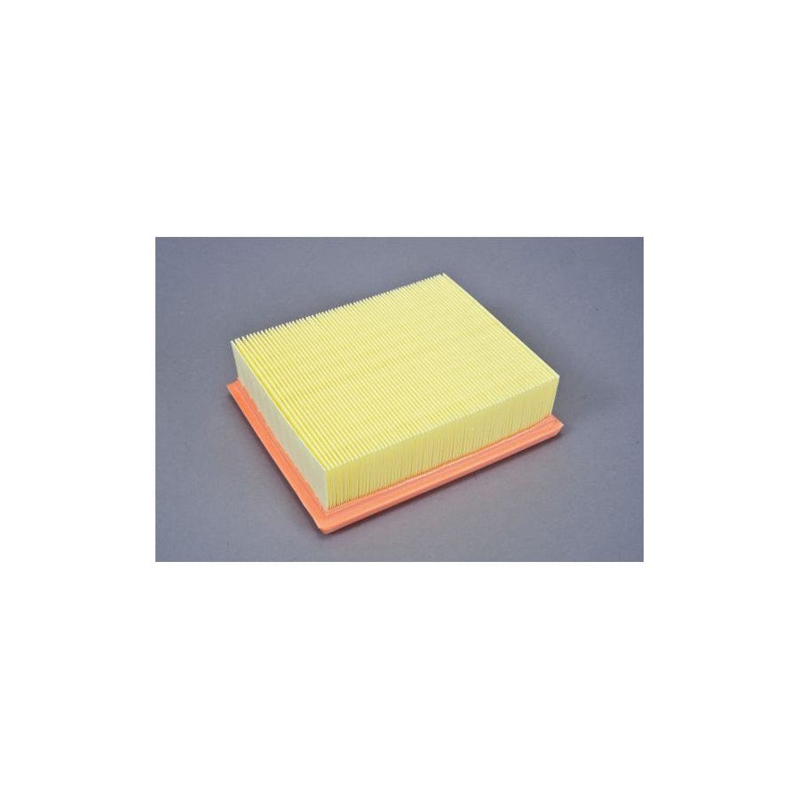 Automega 180030110 Air Filter