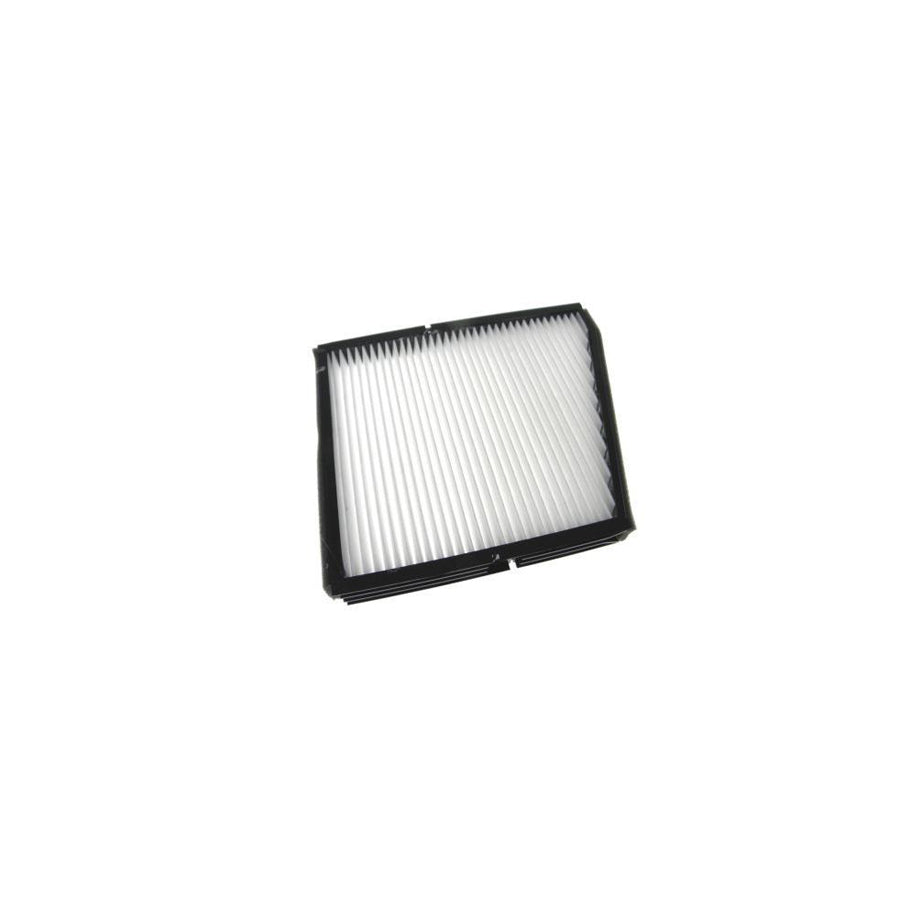 AUTOMEGA 180064810 Pollen Filter