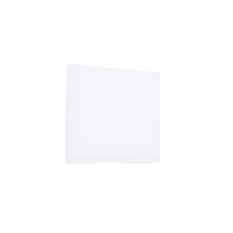 AUTOMEGA 210021310 Pollen Filter