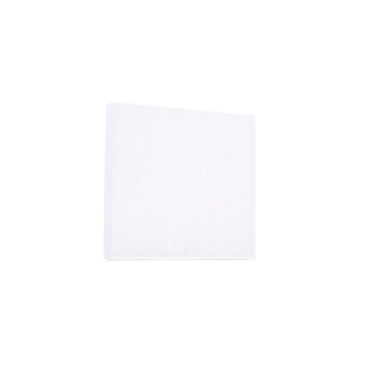 AUTOMEGA 210021310 Pollen Filter