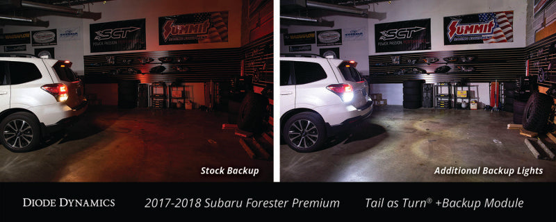 Diode Dynamics 17-18 Subaru Forester Premium (USDM) Tail as Turn +Backup Module Stage 1