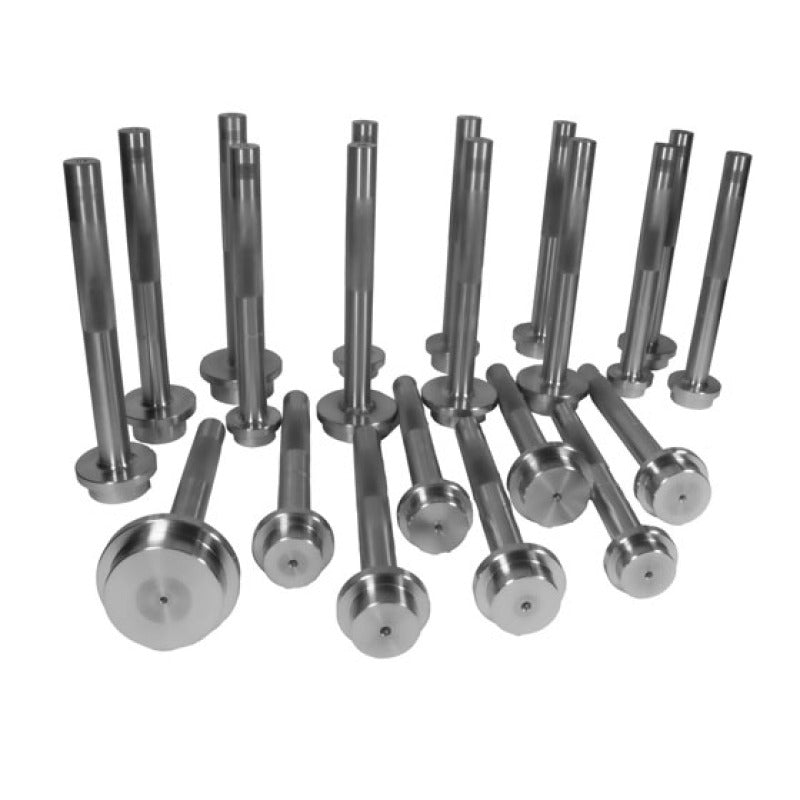 Yukon Gear & Axle Yukon Gear Bearing Race Driver Set / 21 Piece