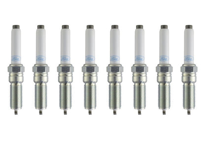 Ford Racing 21-25 F-150 5.0L Coyote (w/Variable Displacement) Cold Spark Plug Set