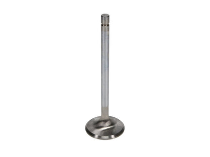 Manley Performance Manley Ford 289 - 302 - 351W 1.600 Head Dia 5.080 OA L 5 Deg Dish Race Flo Exhaust Valves (Set of 8)