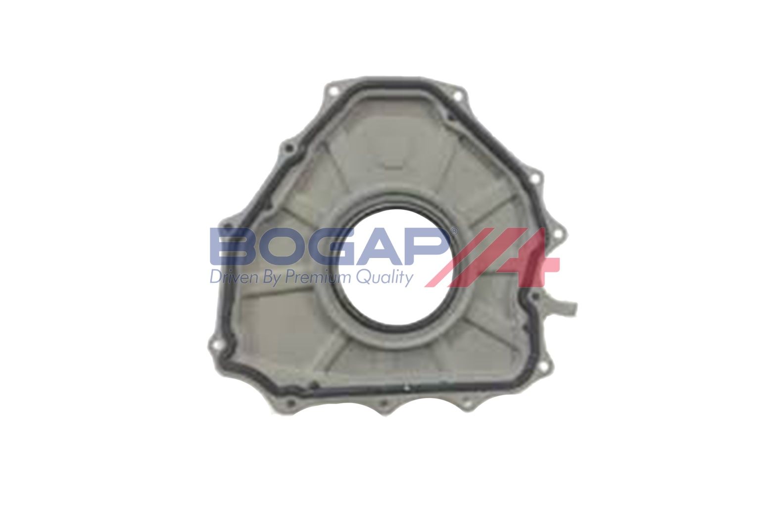 BOGAP E1119101 Shaft Seal, Crankshaft