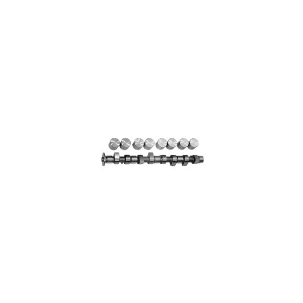 FEBI BILSTEIN FE03131 Camshaft Kit