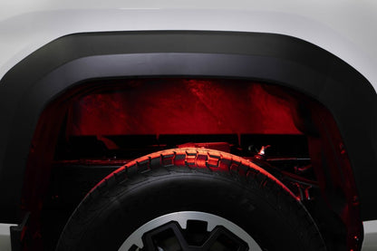 Diode Dynamics RGBW Rock Light Installer Magnet Mount Kit w/Controller (4-pack)
