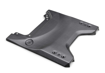 Ford Racing 22-24 Ford Bronco Raptor Carbon Fiver Tailgate Applique - Matte