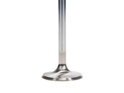 Manley Performance Manley Ford 4.6L DOHC (4 Valve) Triple Groove 37mm Race Master Intake Valves