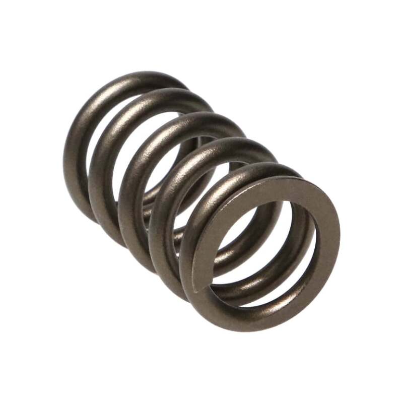 Manley Performance Manley Valve Spring, SPRING-NISSAN PATROL TB48